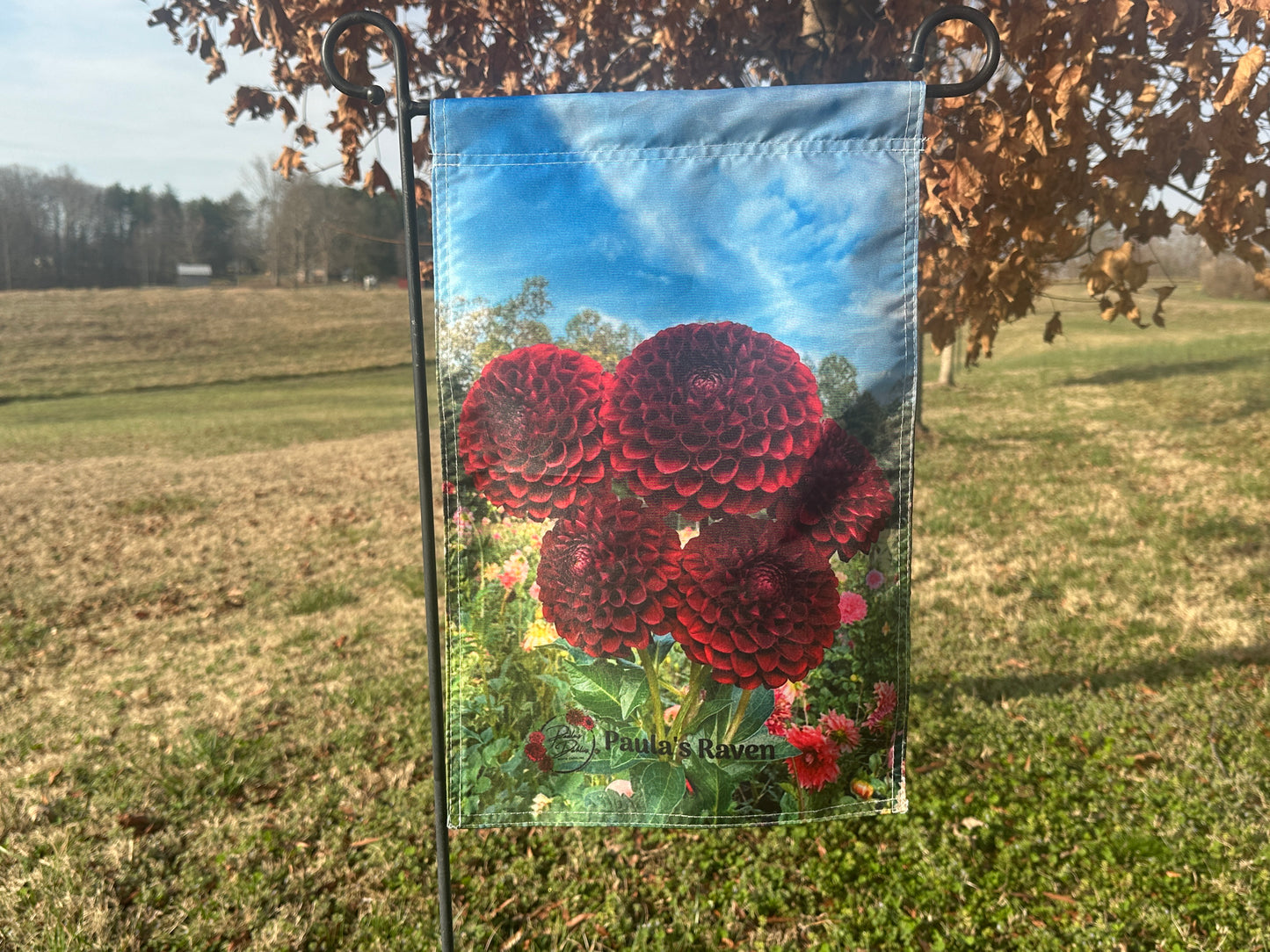 Garden Flag with dark red flowers of Paula's Raven