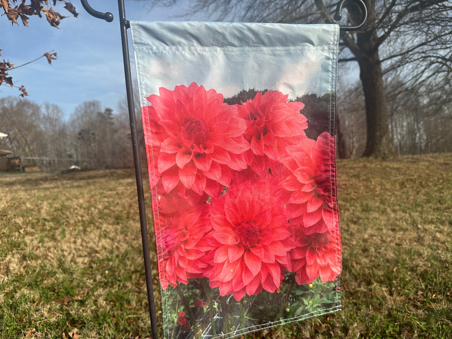 garden flag with Paula's Miss Confident dahlias