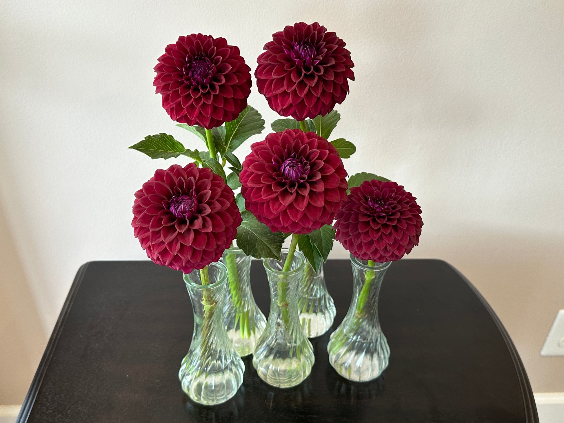 Paula's Divine dahlias.  A burgundy color with purple tones.