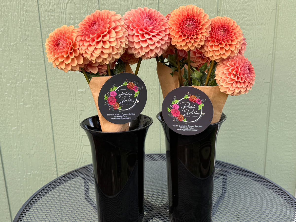 Paula's Paul Wix dahlias in a market bouquet for farmers market