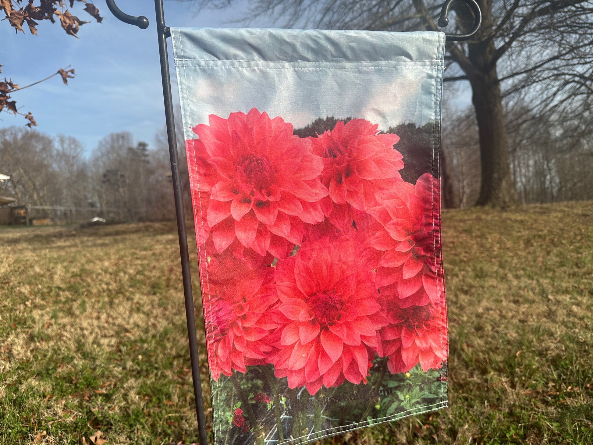 garden flag with Paula's Miss Confident dahlias