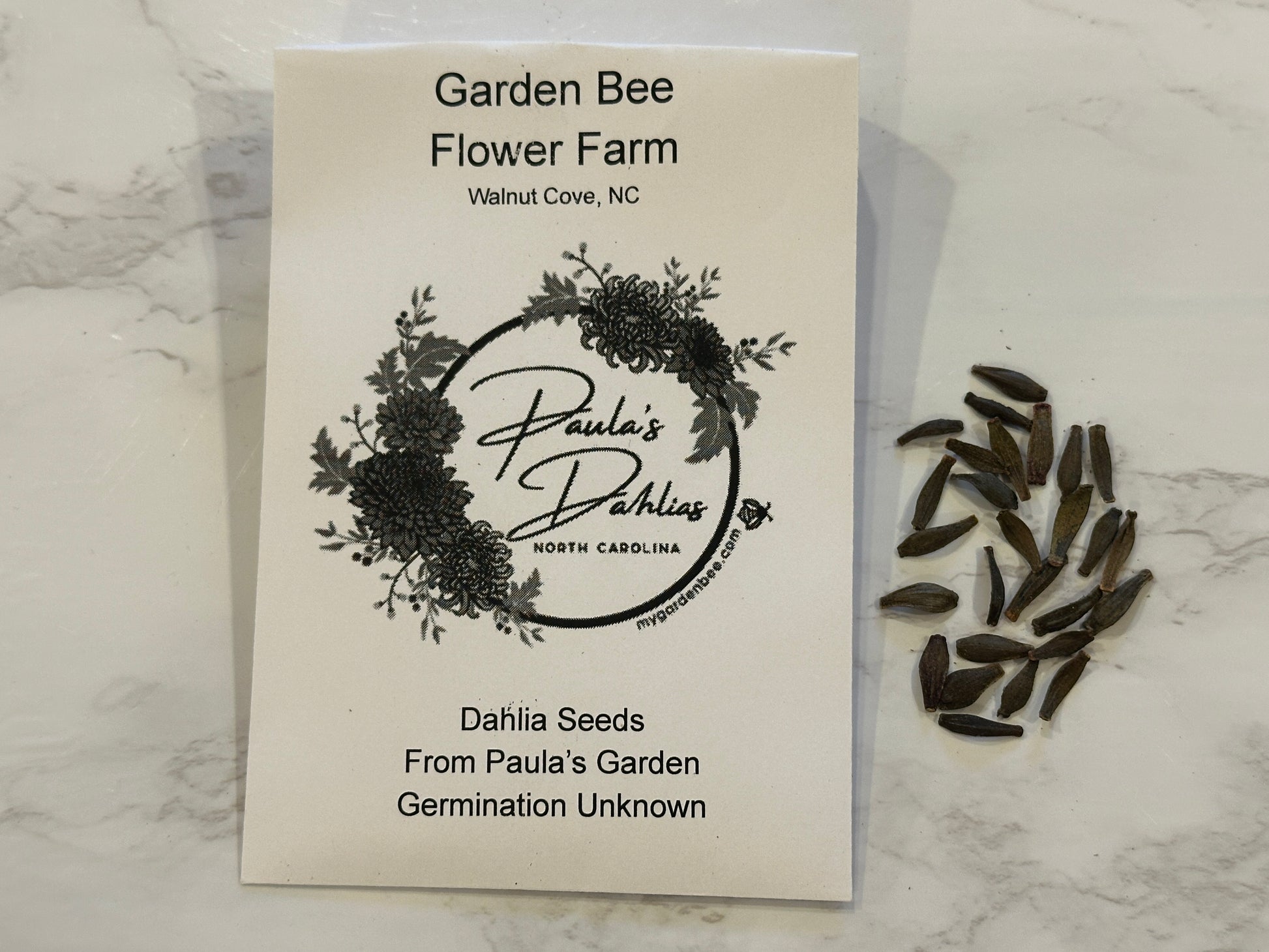 dahlia seeds from Garden Bee Flower Farm and from Paula's dahlia garden